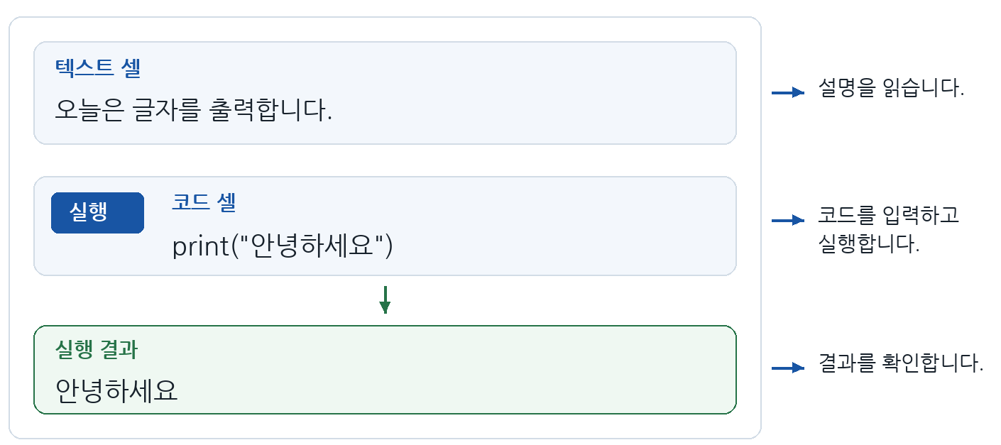 노트북의 텍스트 셀, 코드 셀, 실행 결과 위치를 설명한 개념도
